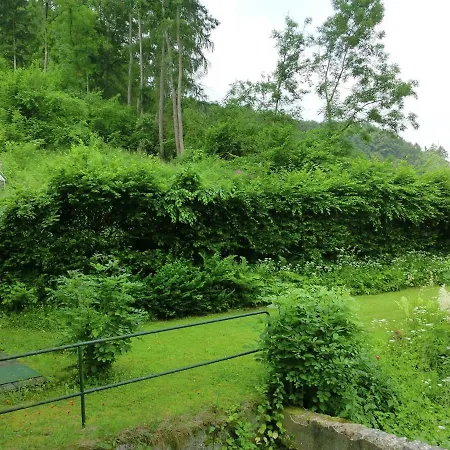 Charming In Falkenstein Near Farm And Museum Falkenstein (Vogtland)
